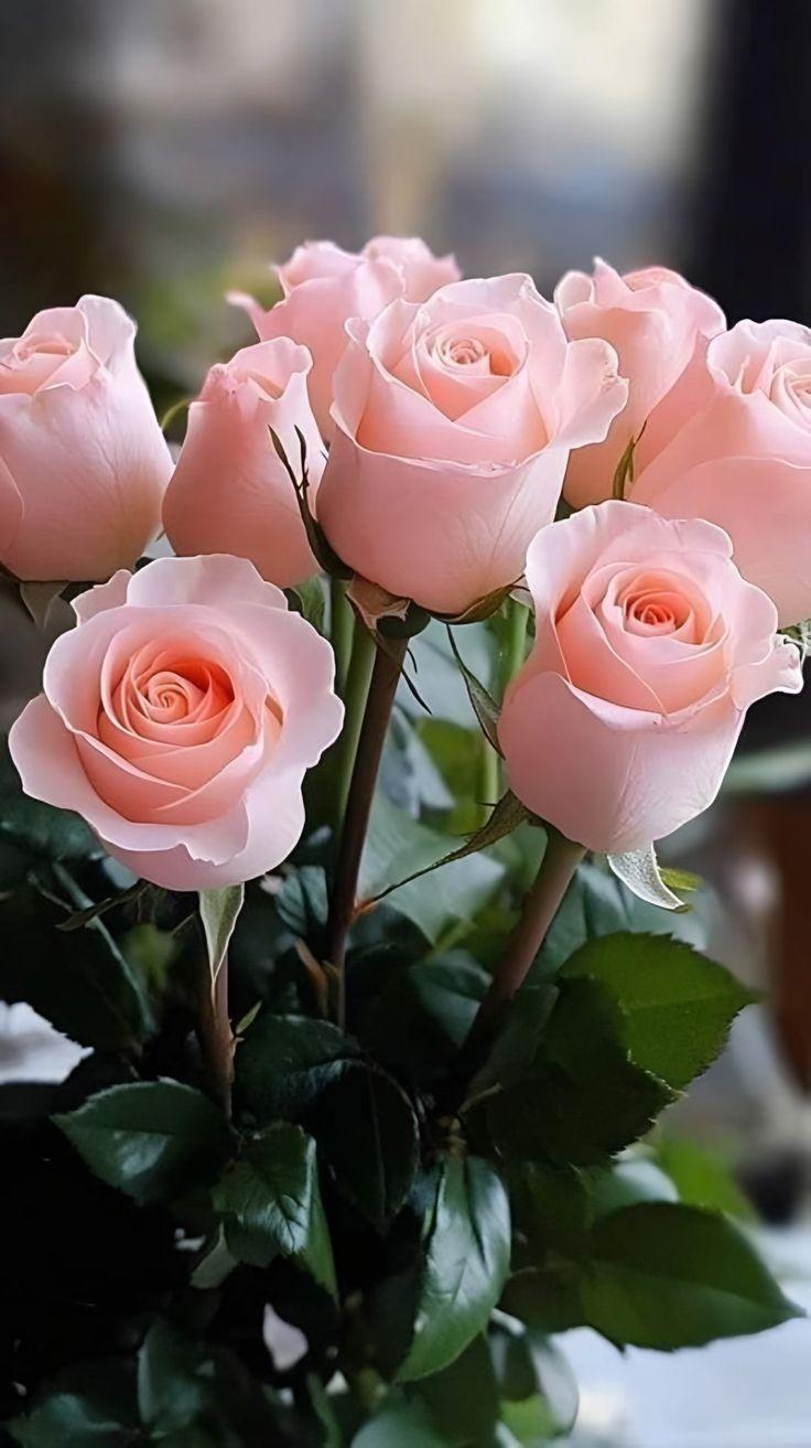 Sunset Hues in Floral Harmony