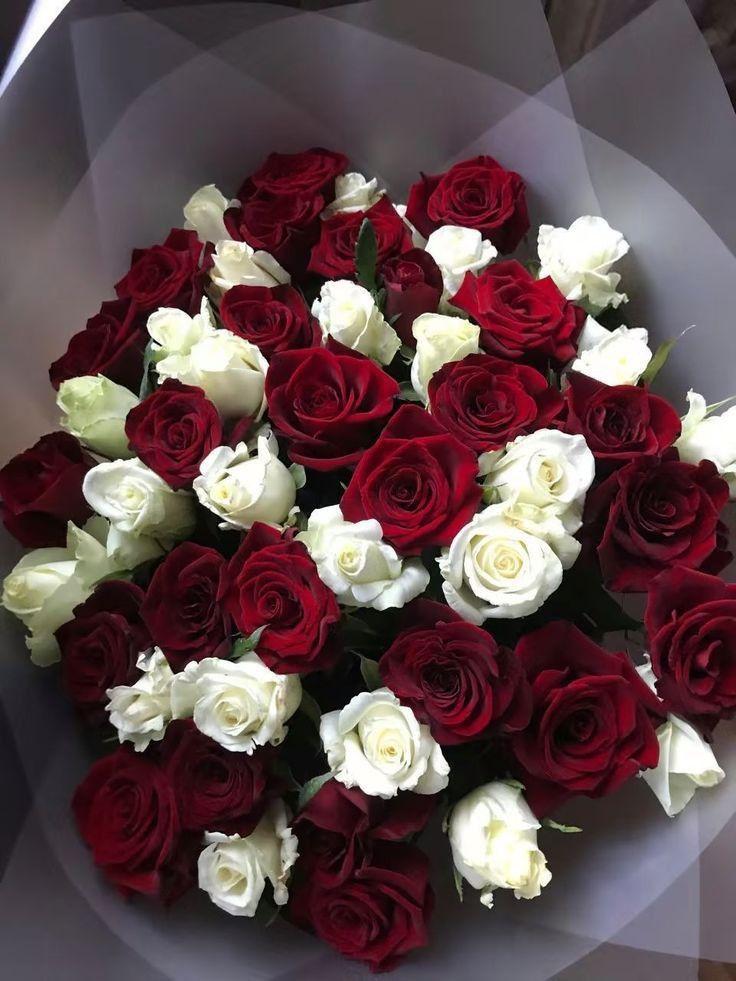 Eternal Embrace of Lush Blooms